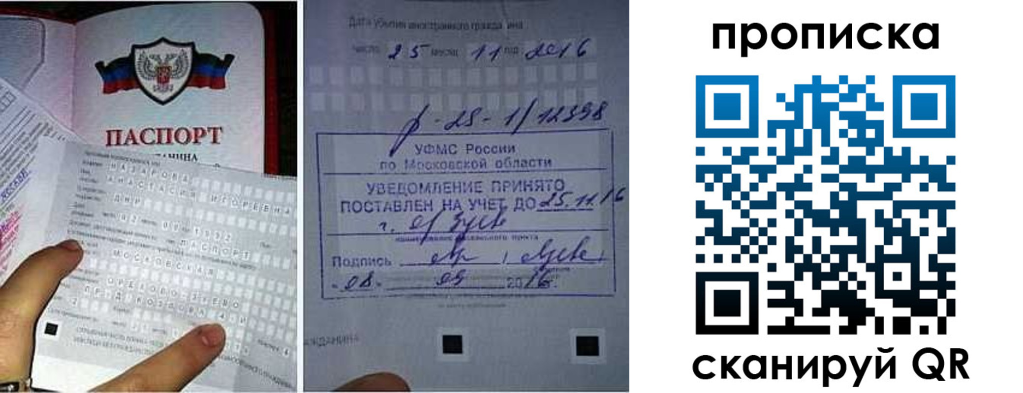 регистрация в Шахунье